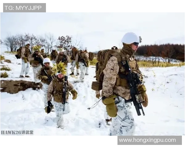 Viper射手核心输出战术体系与团队协同作战思路解析